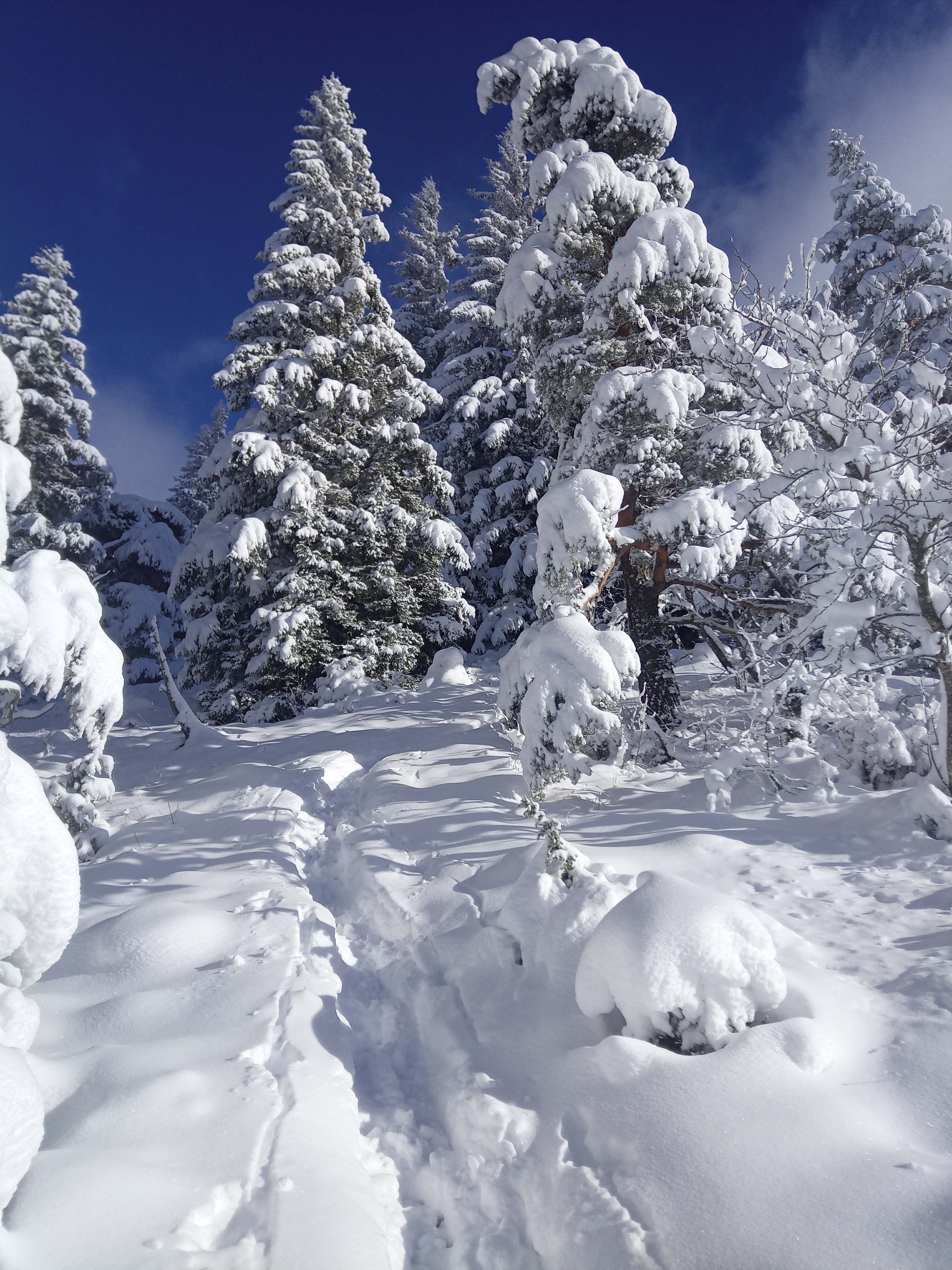 L'actualité des terriers