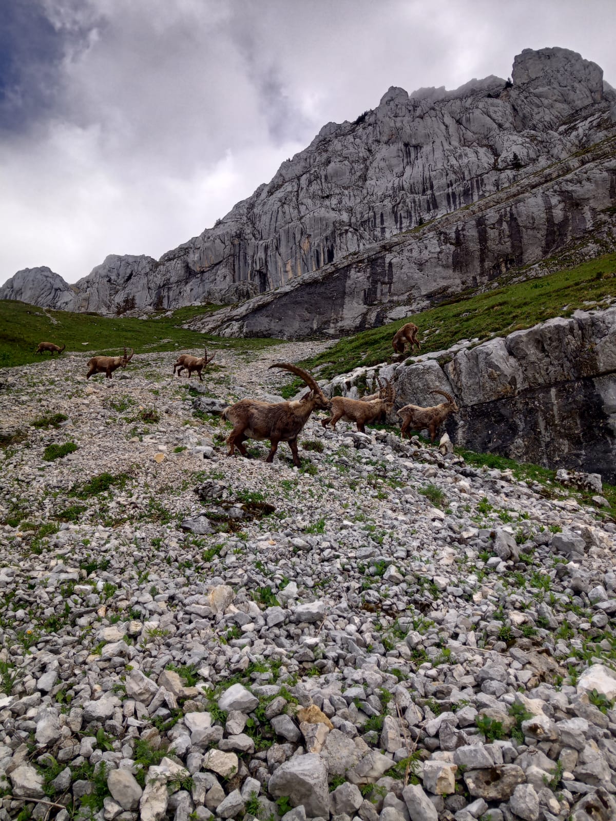 WE 2 J. rando en étoile le 08 nov. 2025